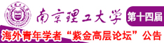 大鸡巴插小穴喷水视频免费南京理工大学第十四届海外青年学者紫金论坛诚邀海内外英才！